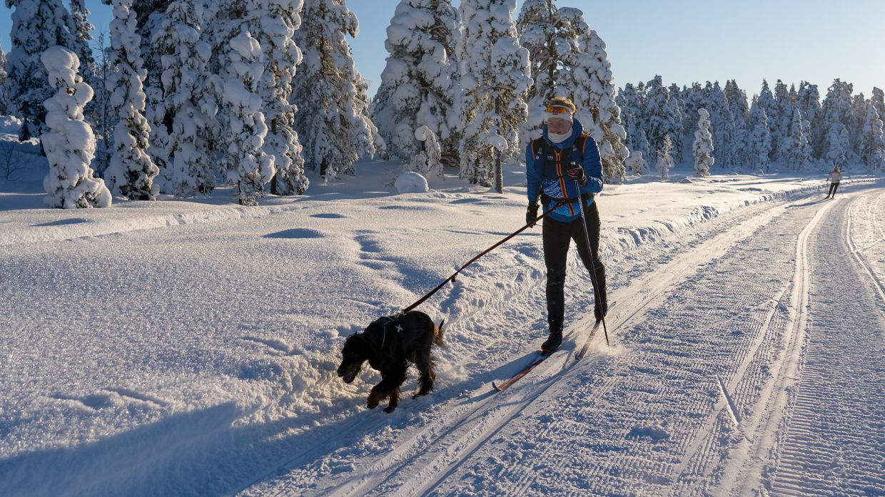Skitur på Lygna