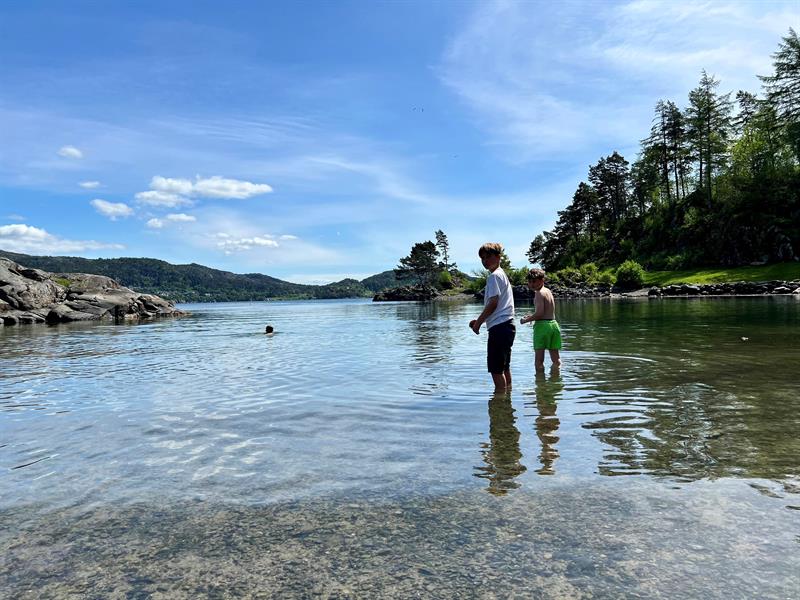 Grønevika friluftsområde Arboretet