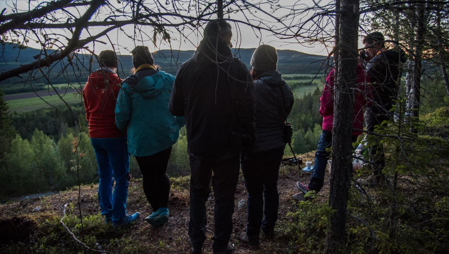Elgsafari: Møt skogens konge!