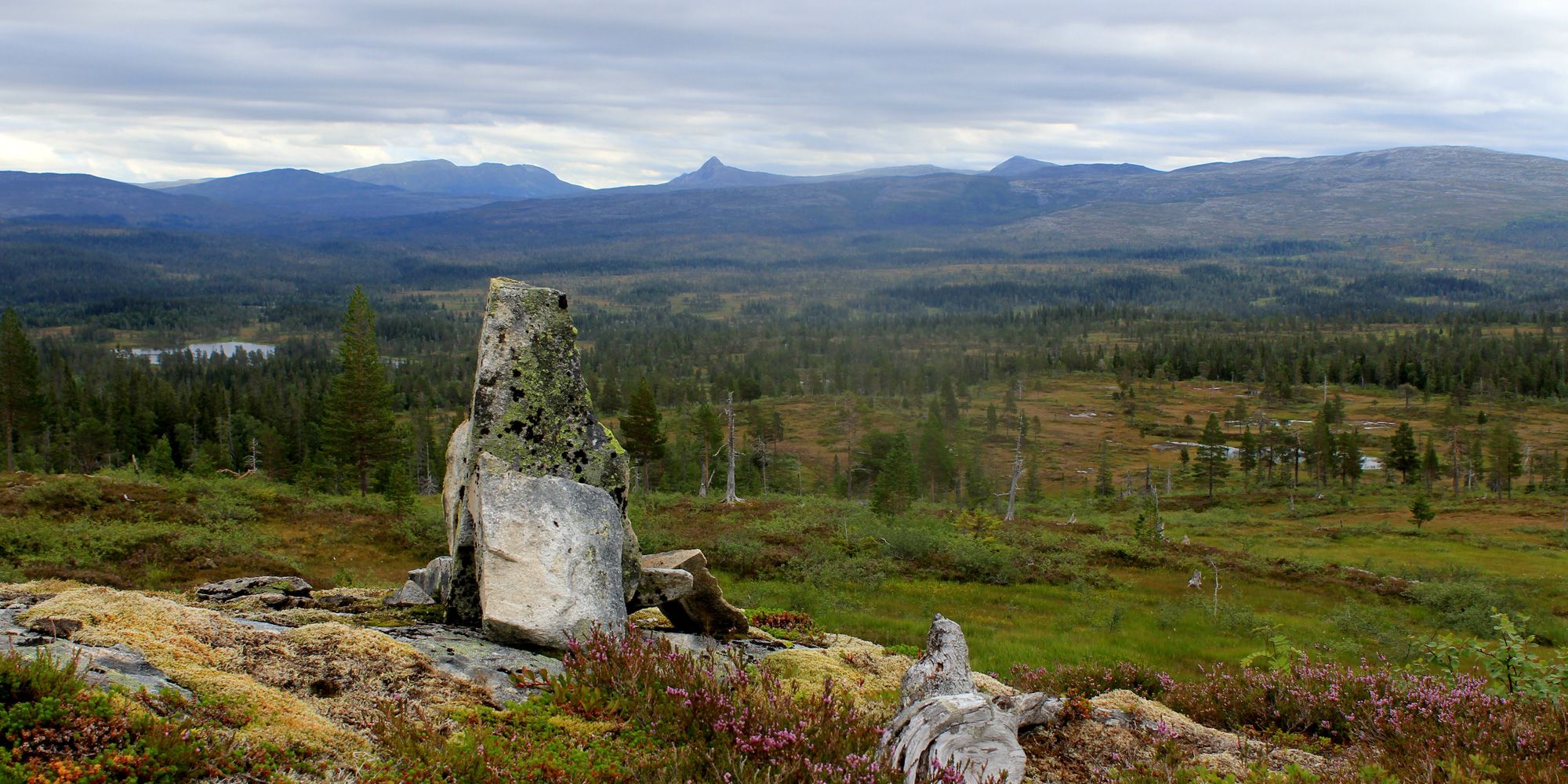 Hallbufjellet mountain - the trail between Gressåmoen and Omlisetra Summer mountain farm