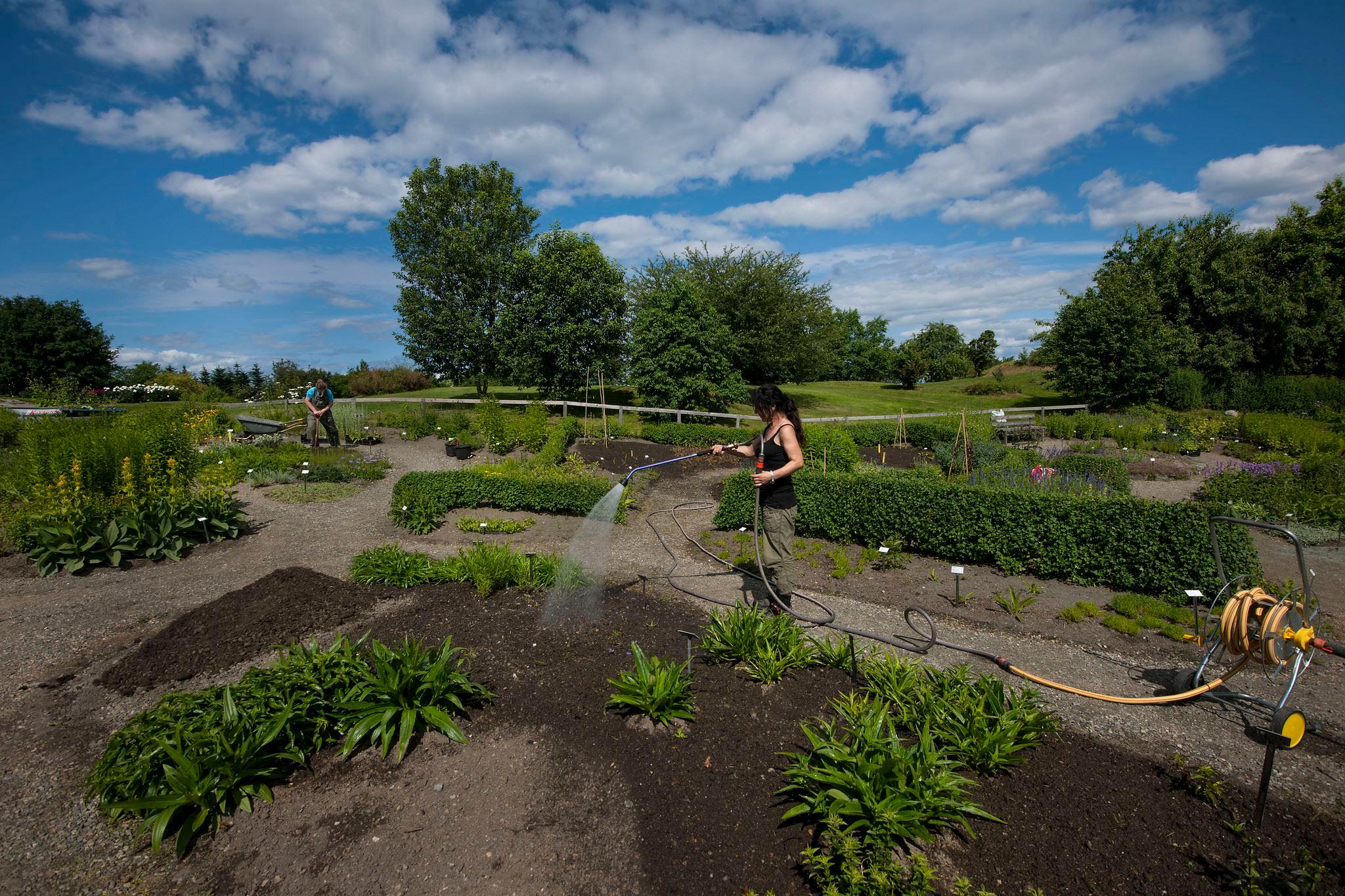 Gartner vanner i Ringve Botaniske Hage