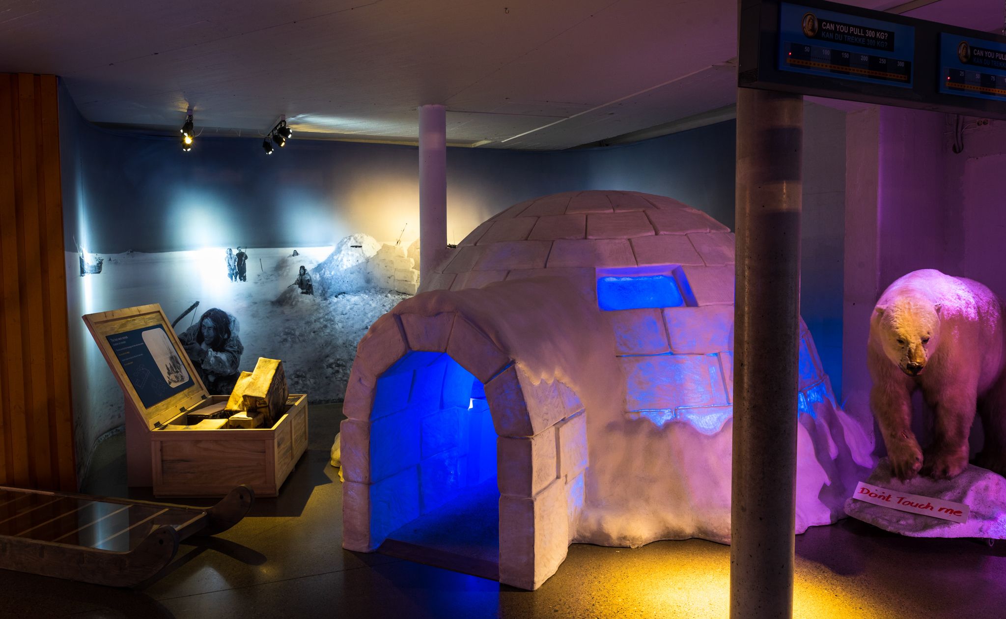 An igloo and a polar bear.