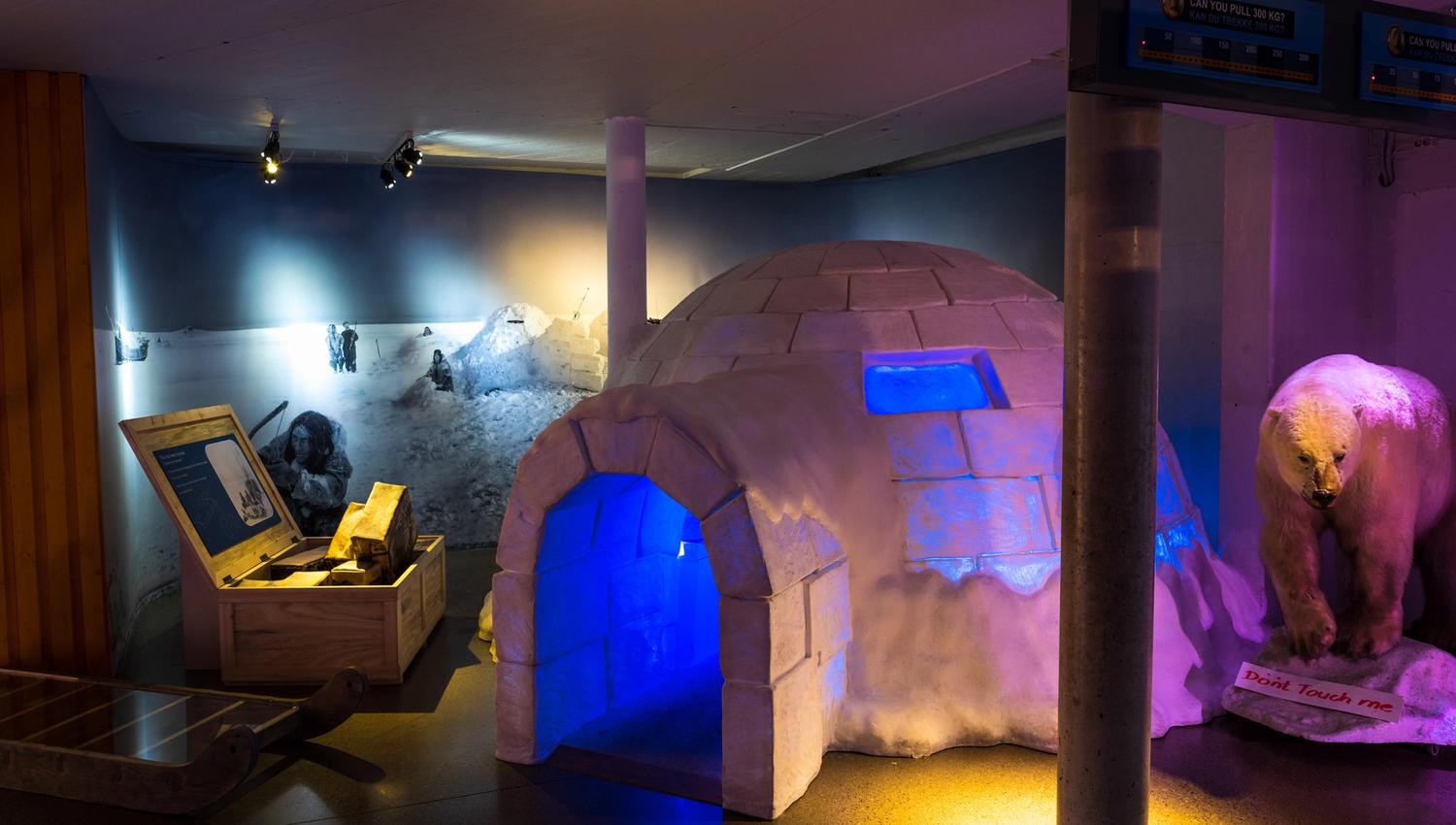 An igloo and a polar bear.