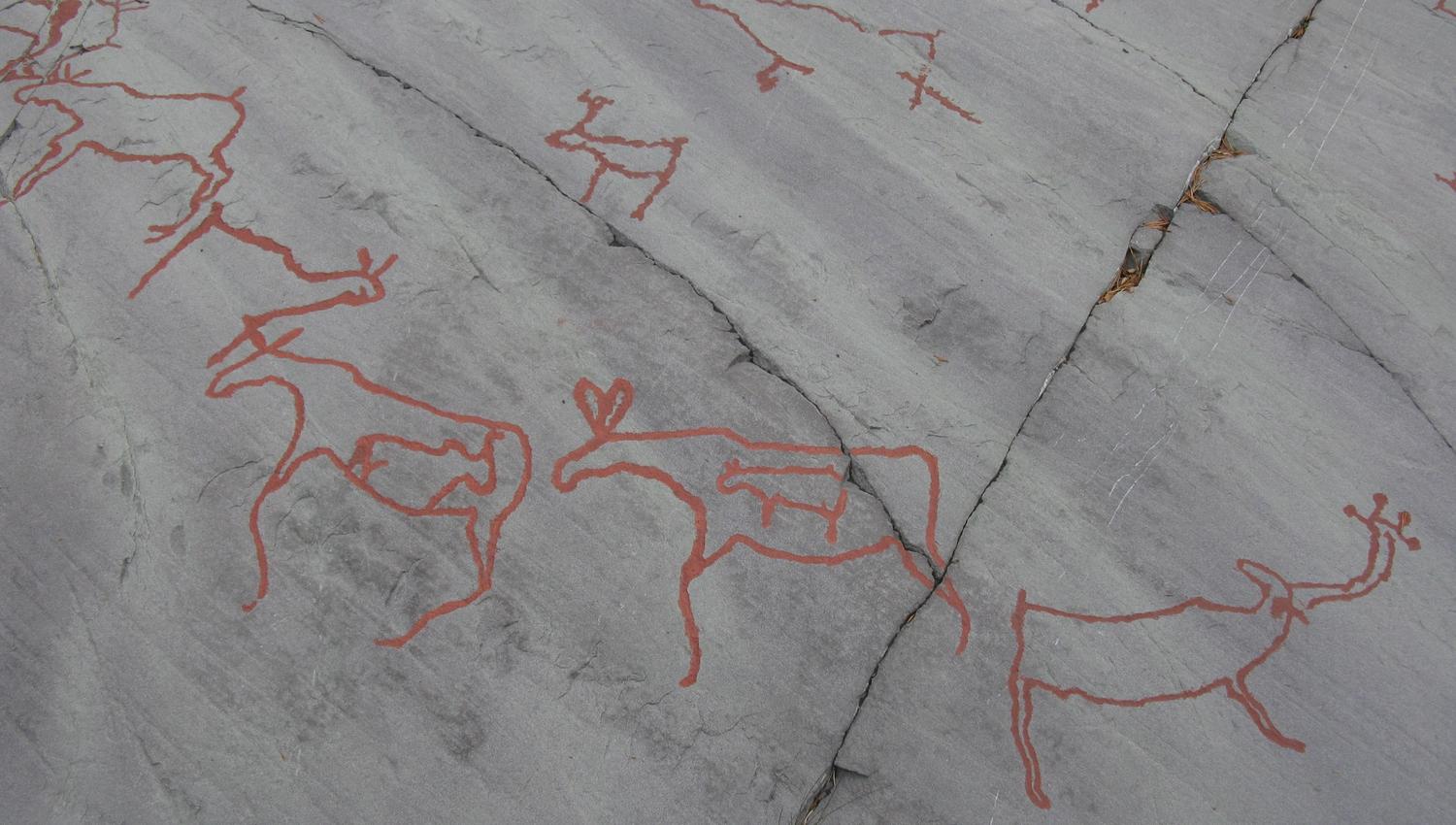 Entdecken Sie faszinierende Felszeichnungen von Rentieren, die aus der Frühzeit stammen. Diese kunstvollen, roten Darstellungen auf grauem Gestein erzählen Geschichten aus einer vergangenen Zeit und ziehen Geschichtsinteressierte an.
