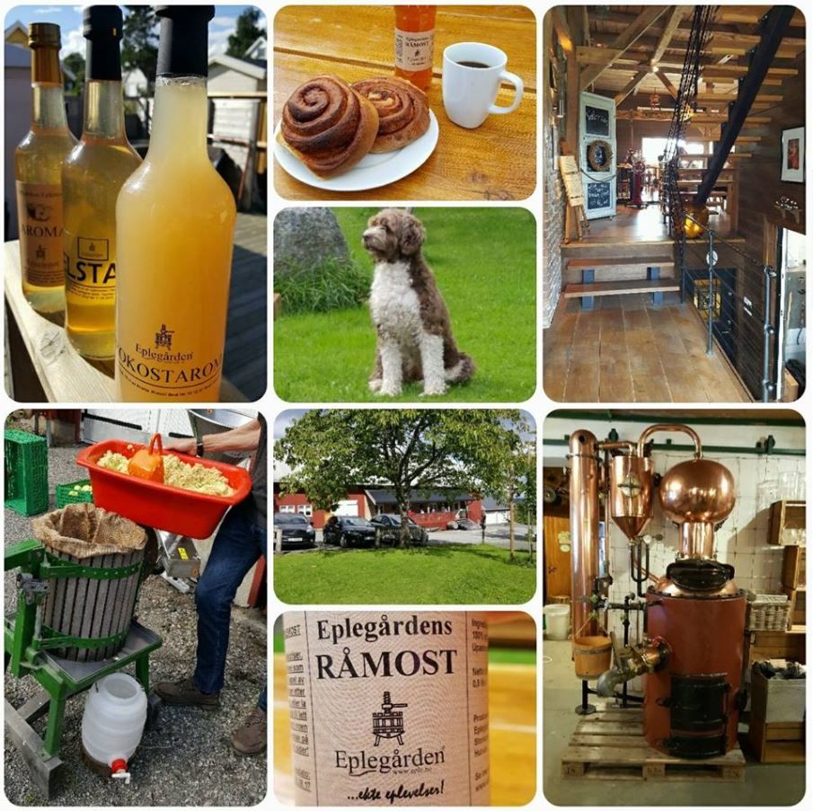 Picture collage of apple events