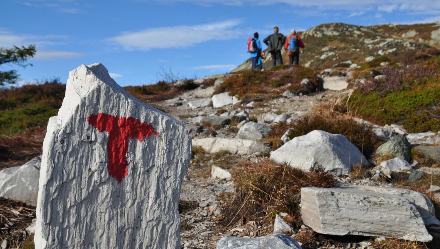 Vandrerutene på Lifjell er godt skiltet og merket. Her ser man bokstaven T malt i rødt på en stein for å vise veien, og 3 mennesker som går tur i fjellandskapet.