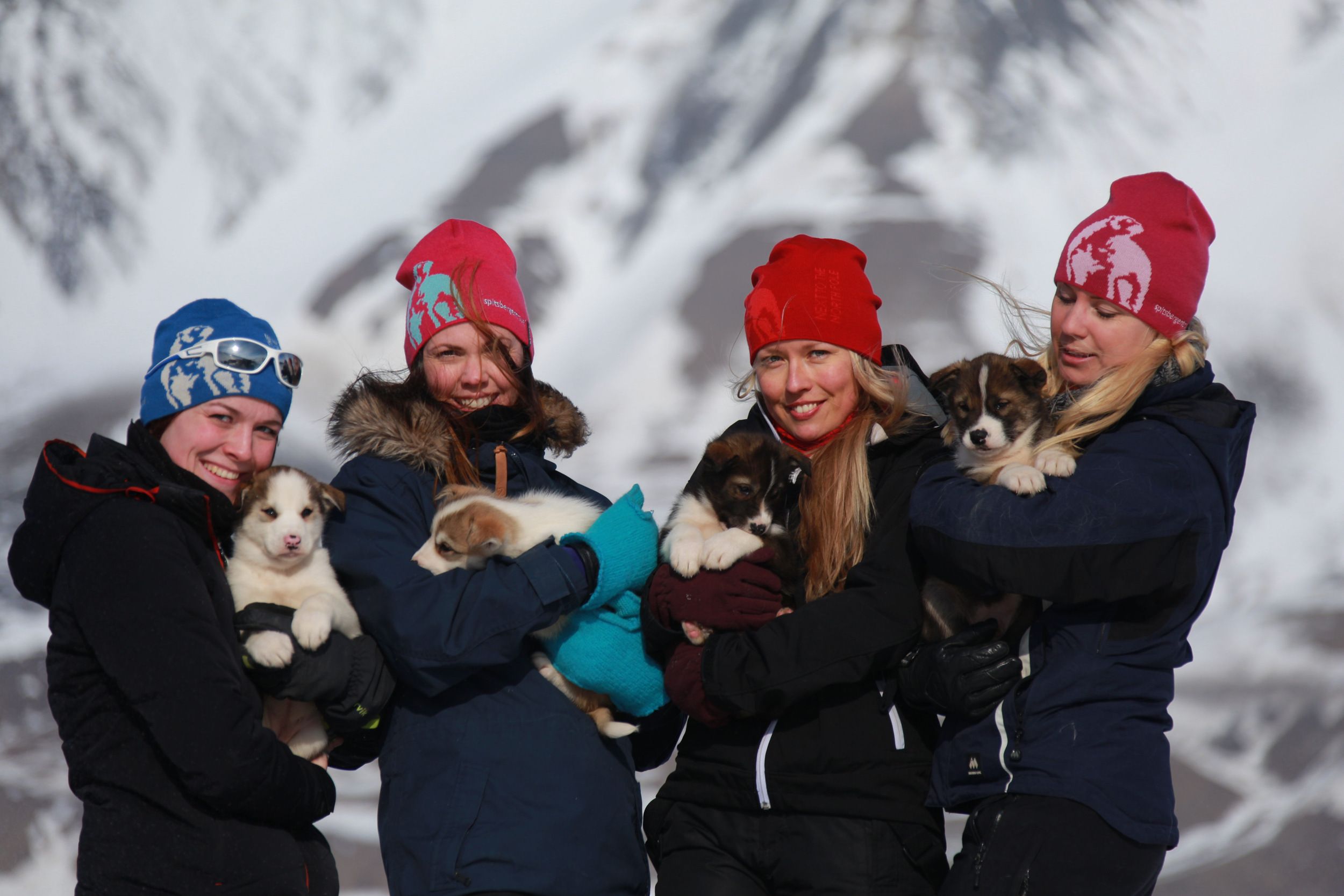 Fire personer poserer foran en fjellformasjon med en valp hver i armene.