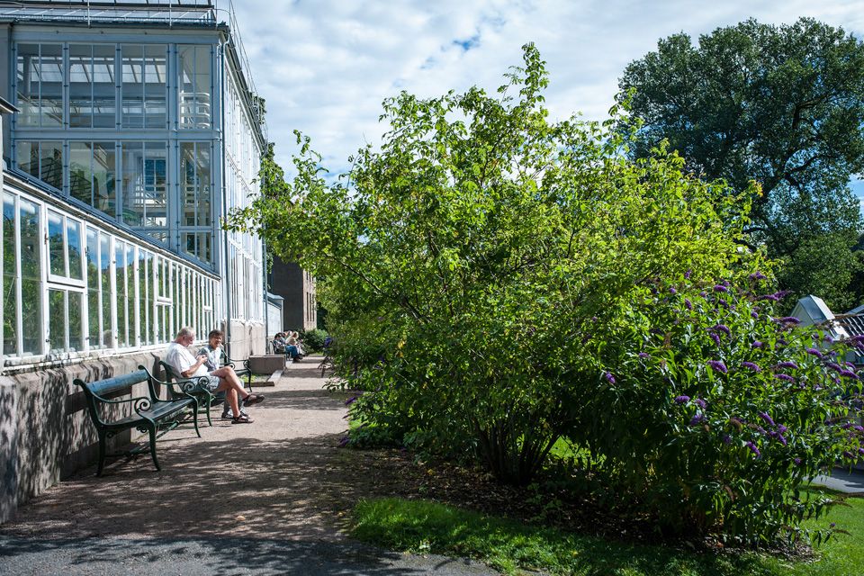 Sitteområder i Botanisk hage, Oslo