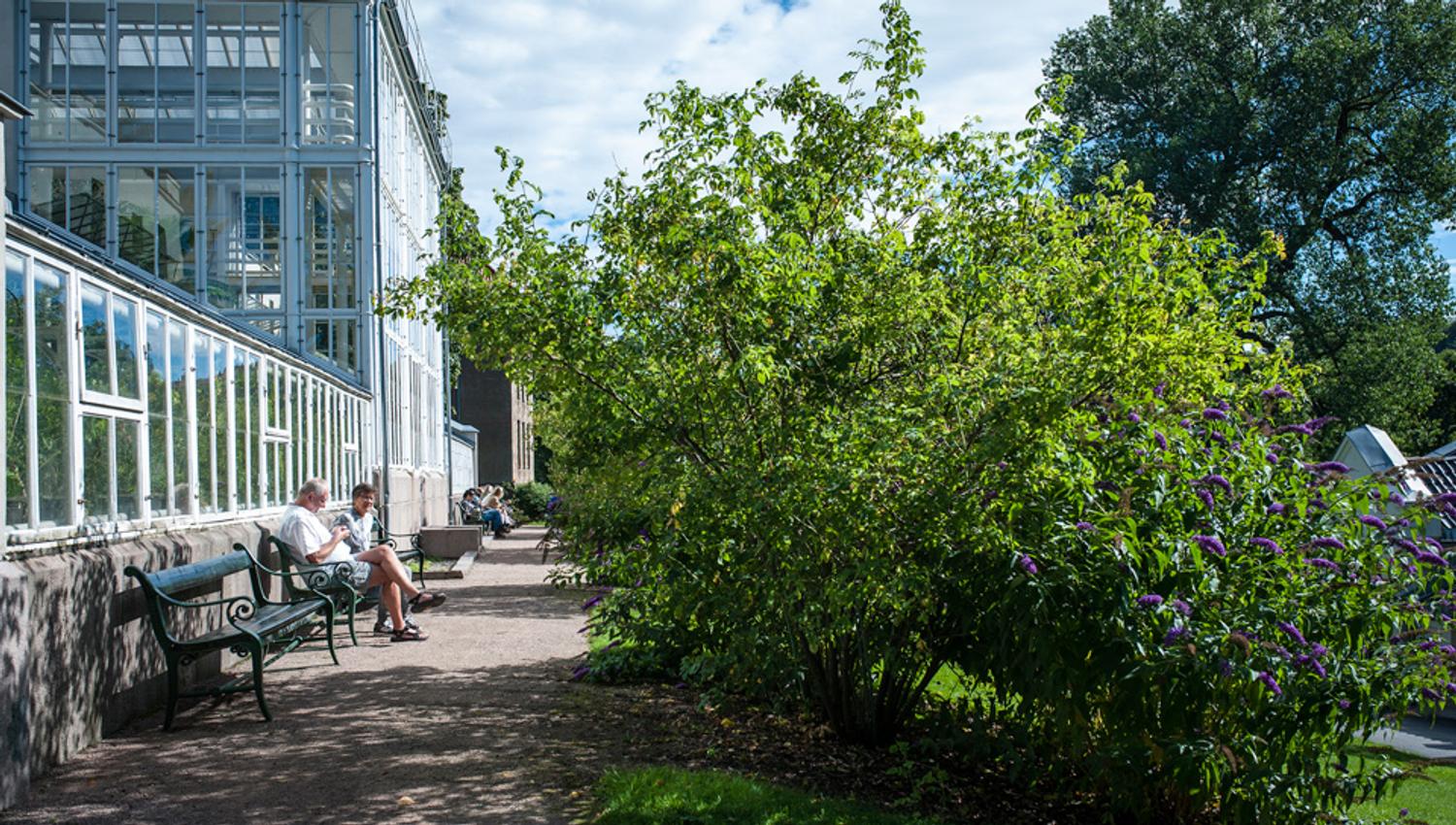 Sitteområder i Botanisk hage, Oslo