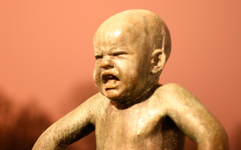 the little angry boy