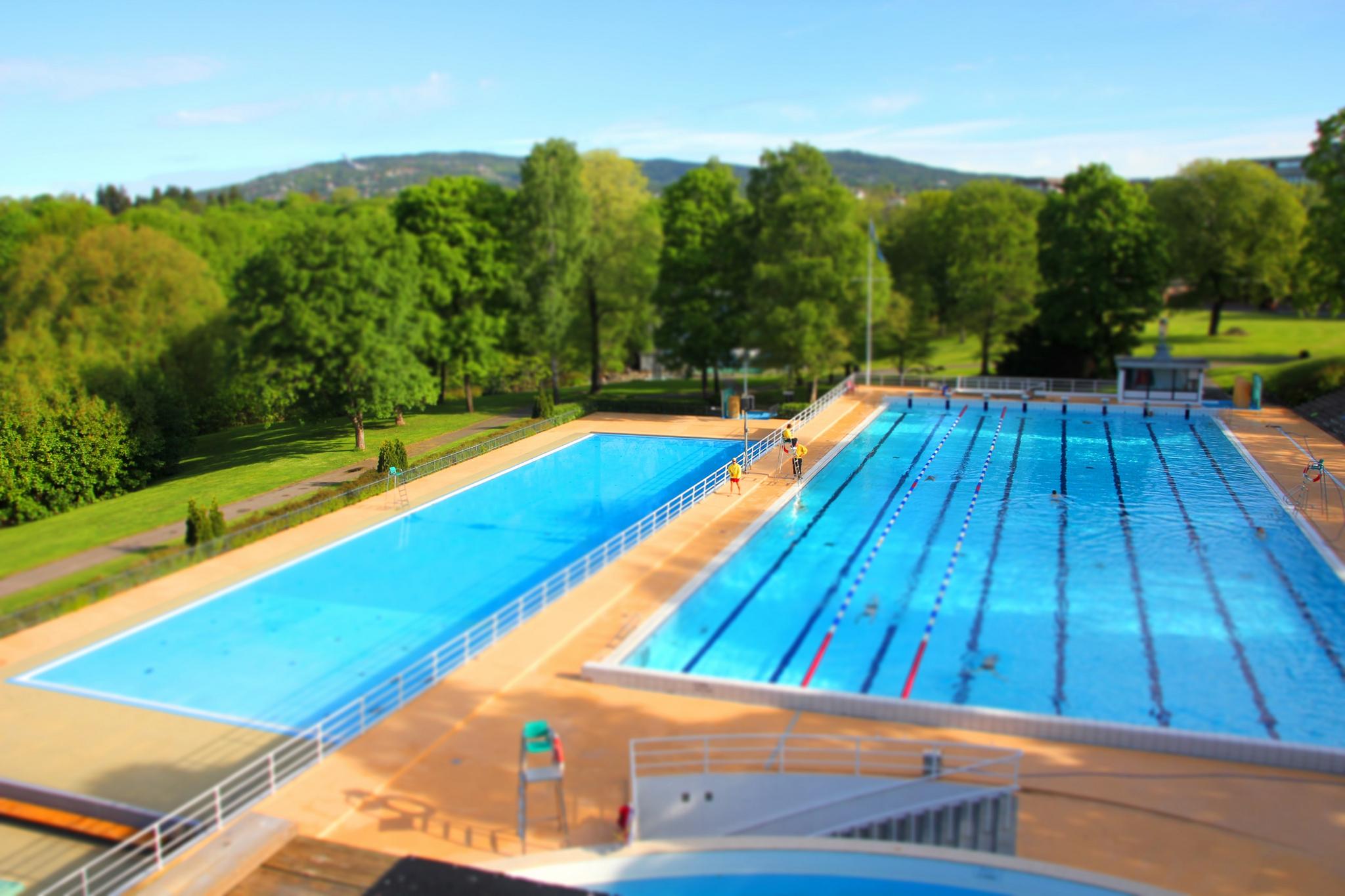 Two outdoor pools with trees in the background.