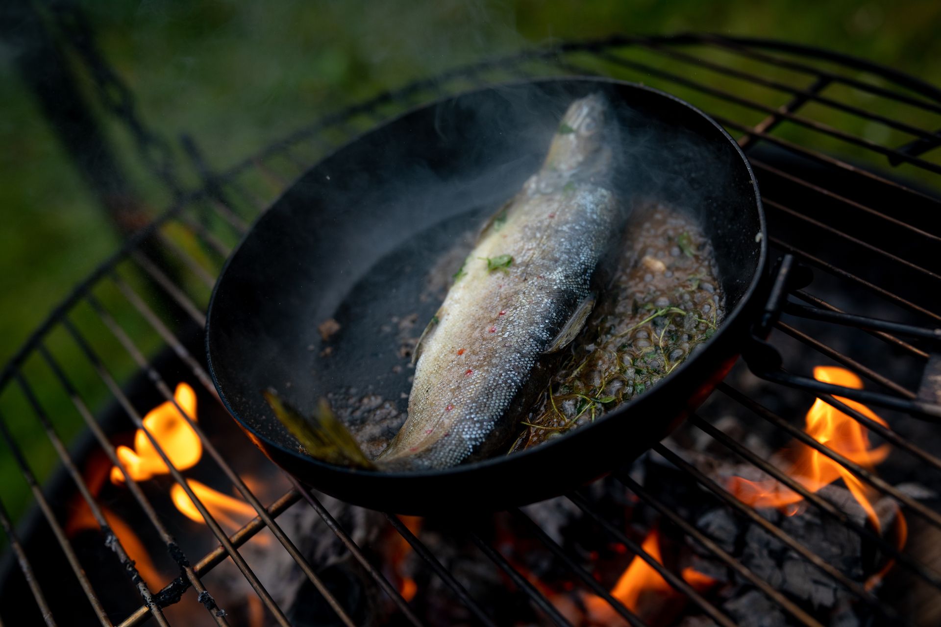 A fish is being cooked in a pan over a campfire.