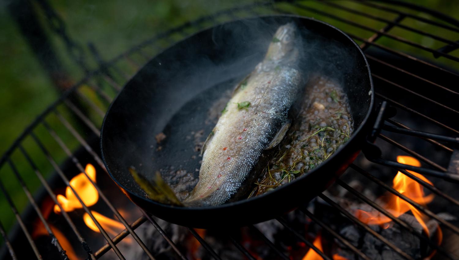 A fish is being cooked in a pan over a campfire.