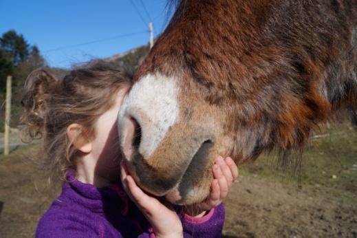 Valevåg Camping og Hyttetun