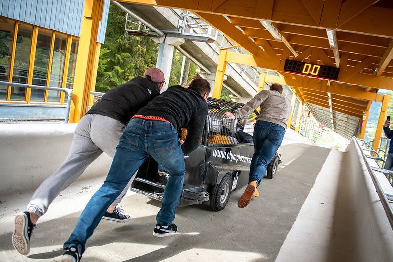 Start help from bob start!