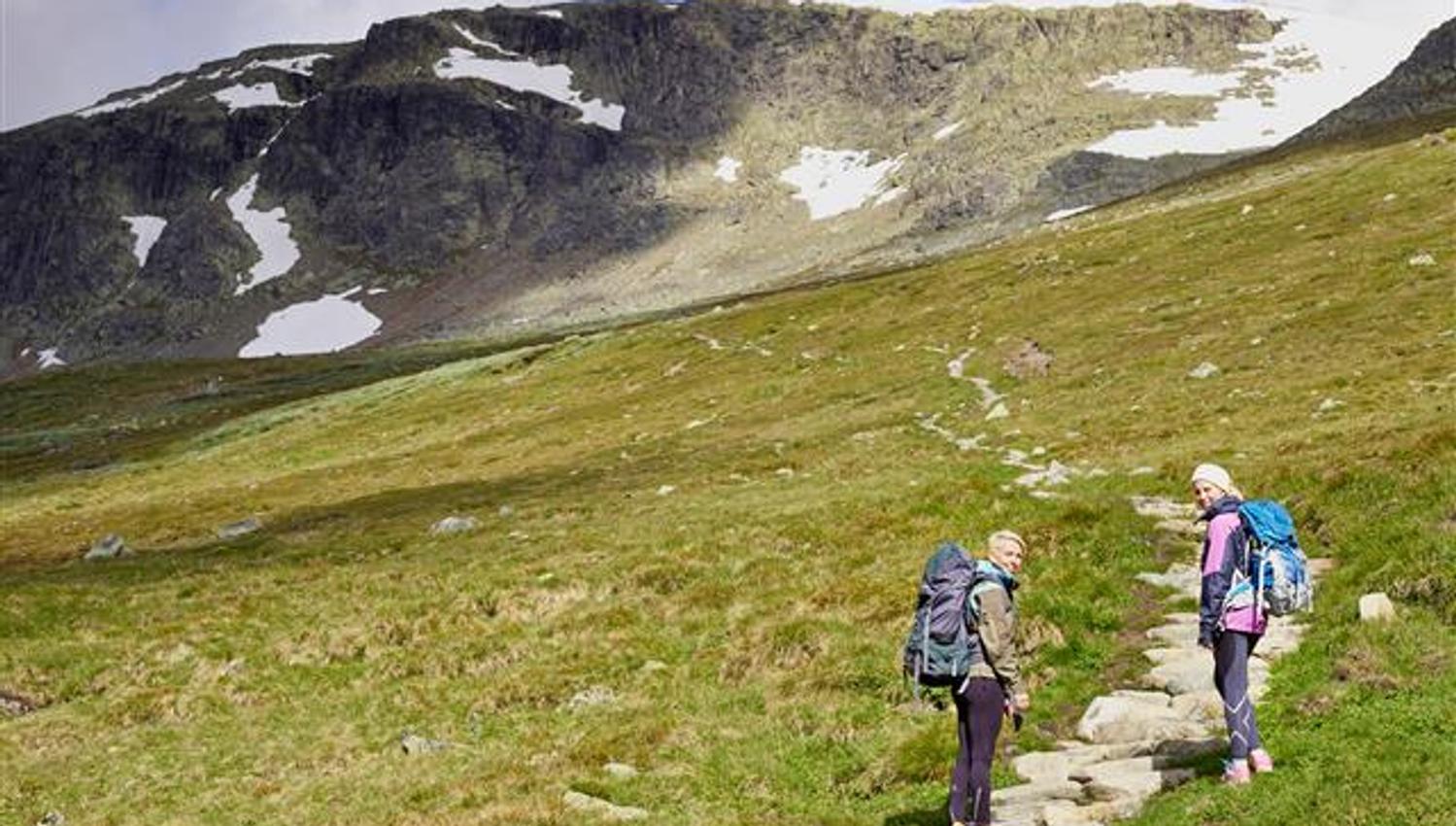 The Prestholt Trail