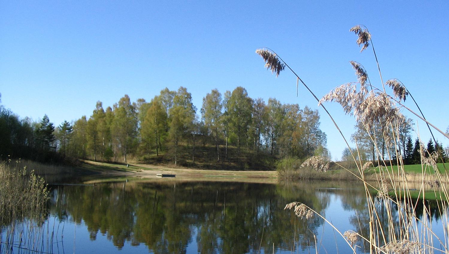 Raknehaugen