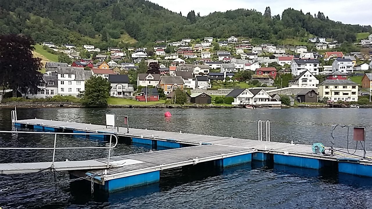 Utsikt frå brygga i Norheimsund Gjestehamn mot dei kvite husa og grøne åsane rundt fjorden.