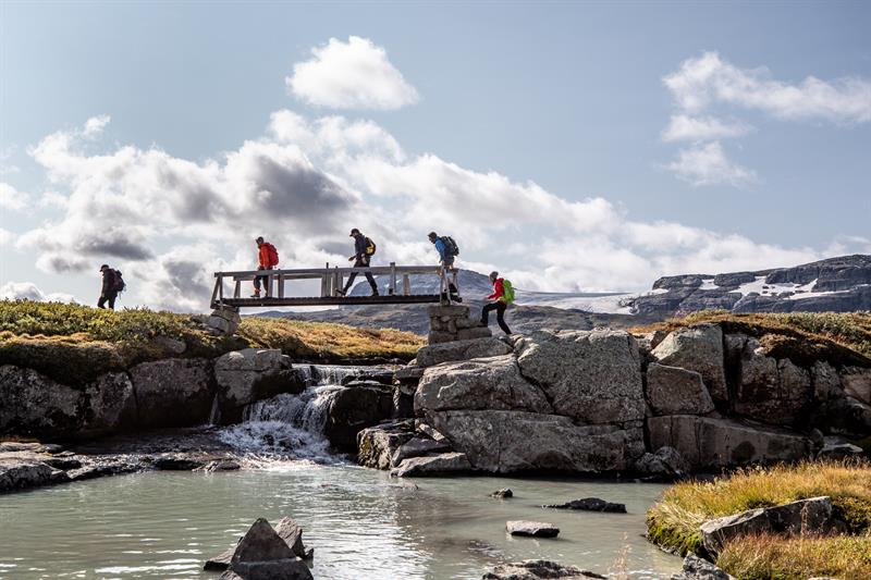 bru og bre på baksiden
