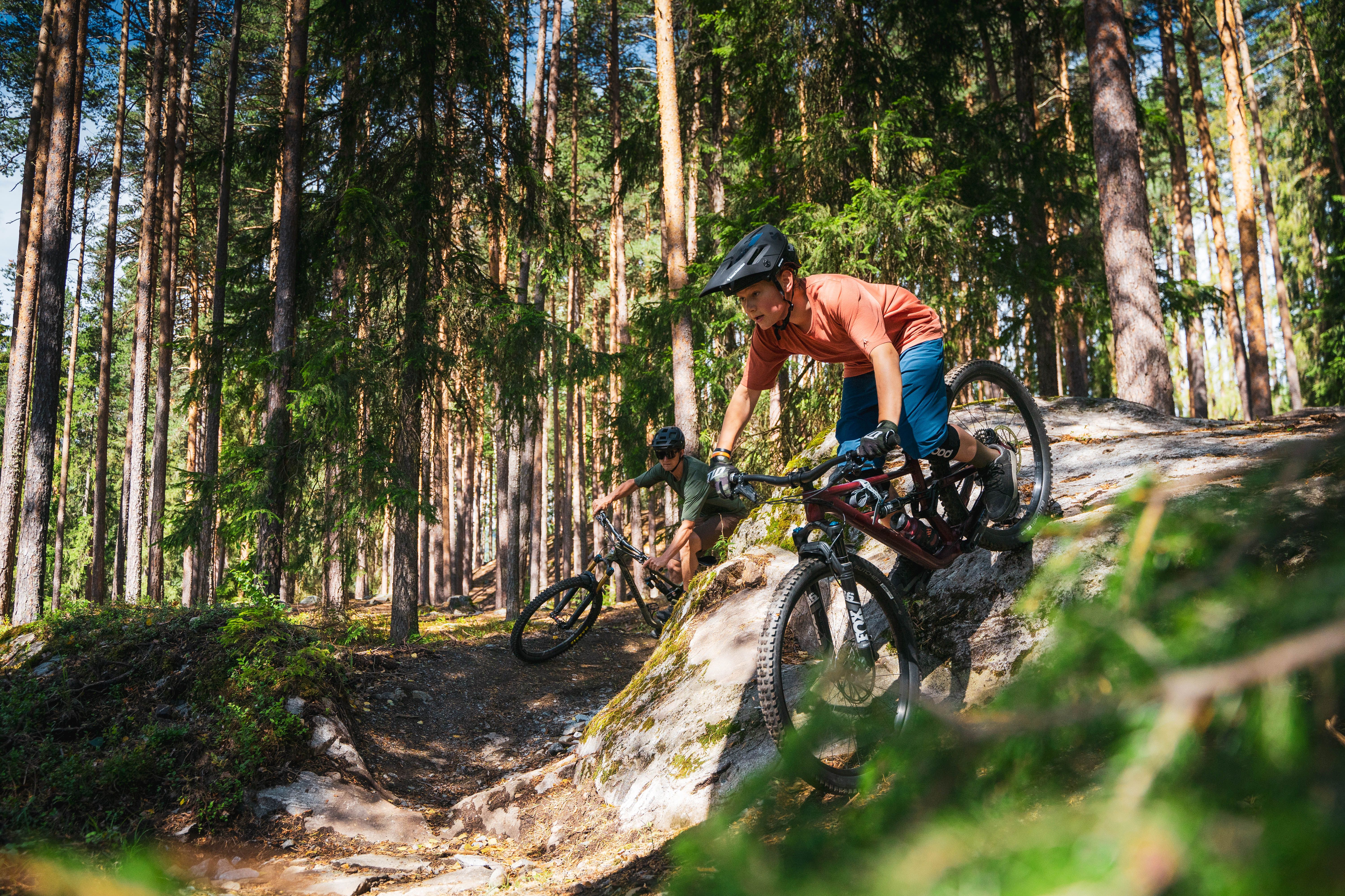 20220805 Hallingmo Stisenter - Krækling - Foto Lars Storheim (4)