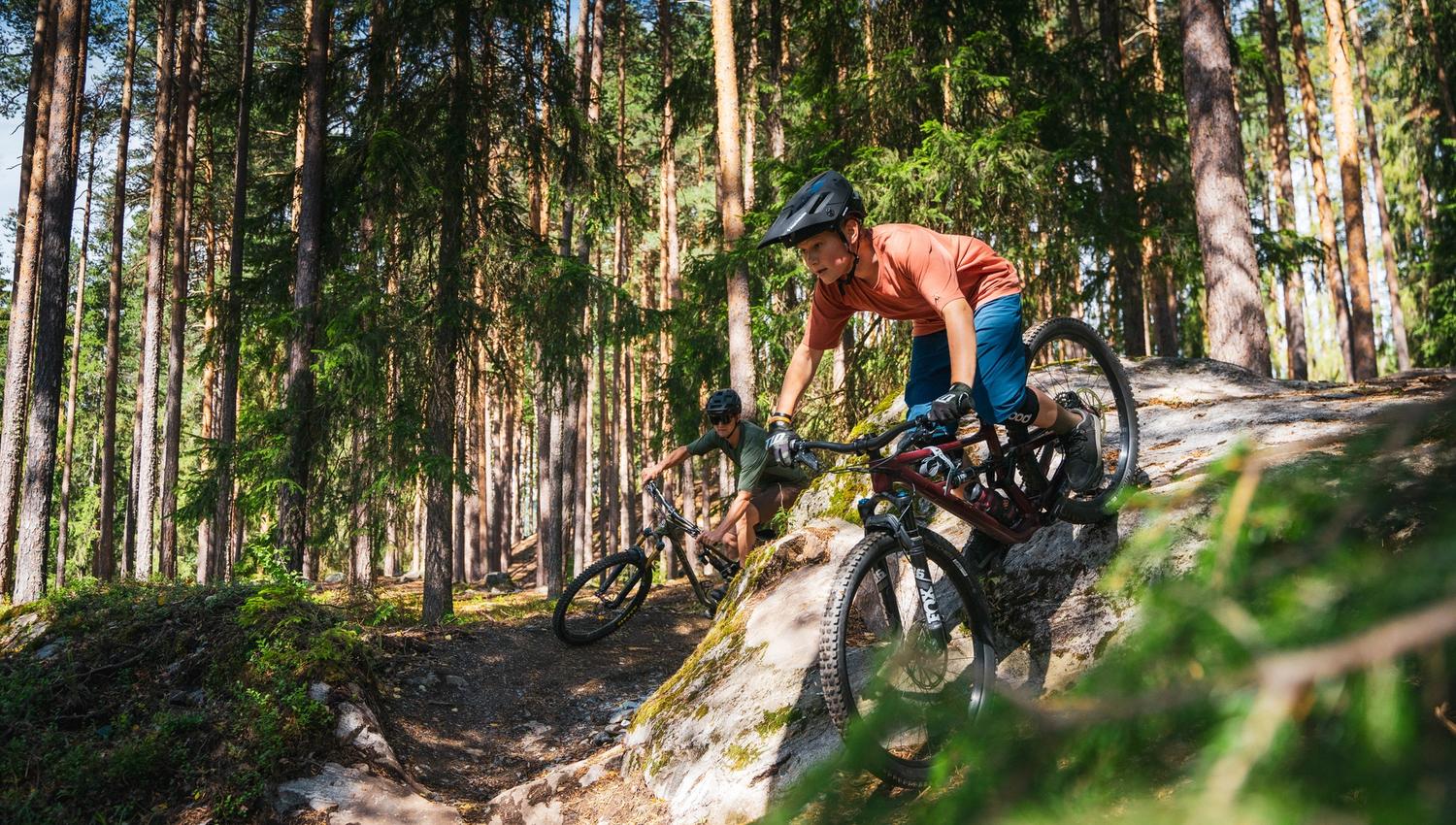 20220805 Hallingmo Stisenter - Krækling - Foto Lars Storheim (4)