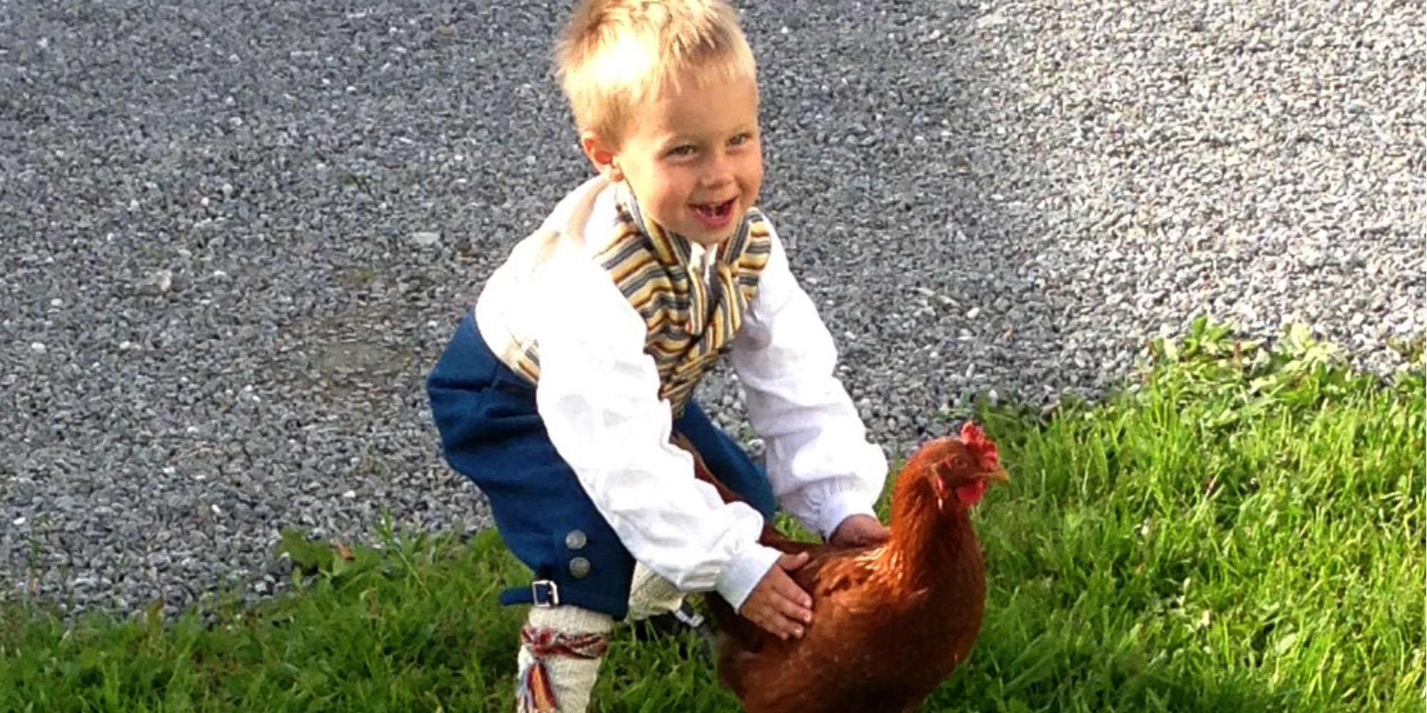 Husfrua gårdshotell - medlem av Den Gyldne Omvei på Inderøy - gutt og høne