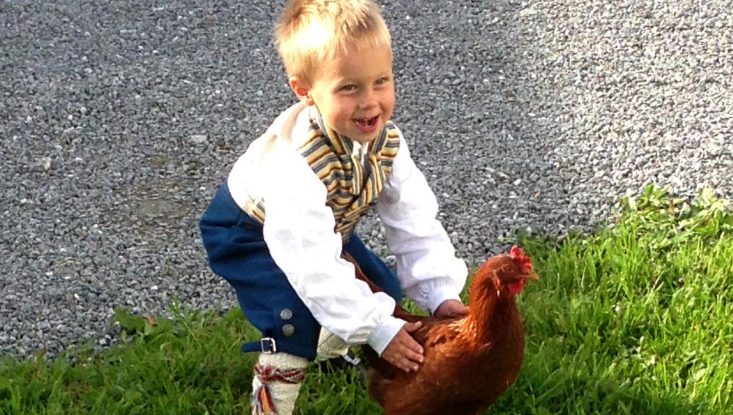 Husfrua gårdshotell - medlem av Den Gyldne Omvei på Inderøy - gutt og høne