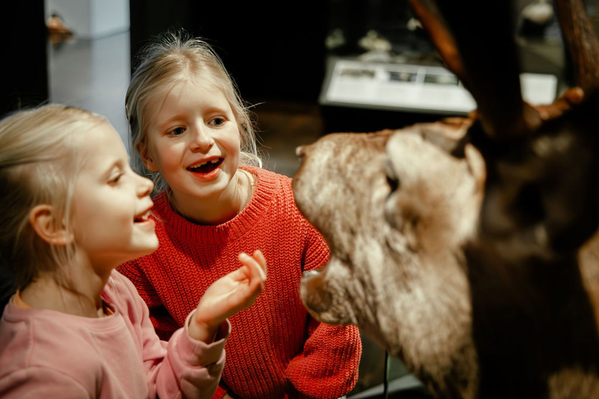 Stavanger museum