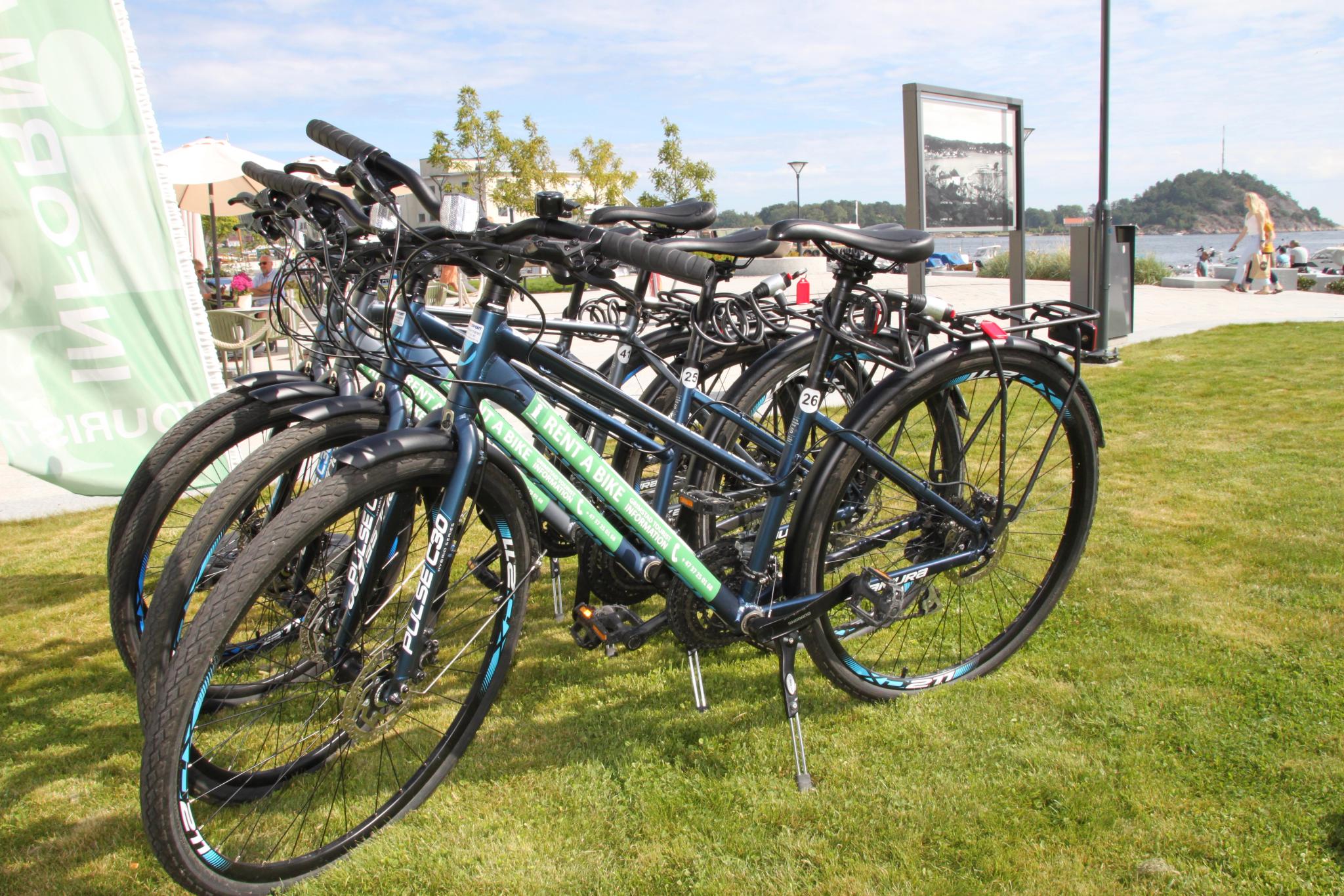Picture of rental bicycles