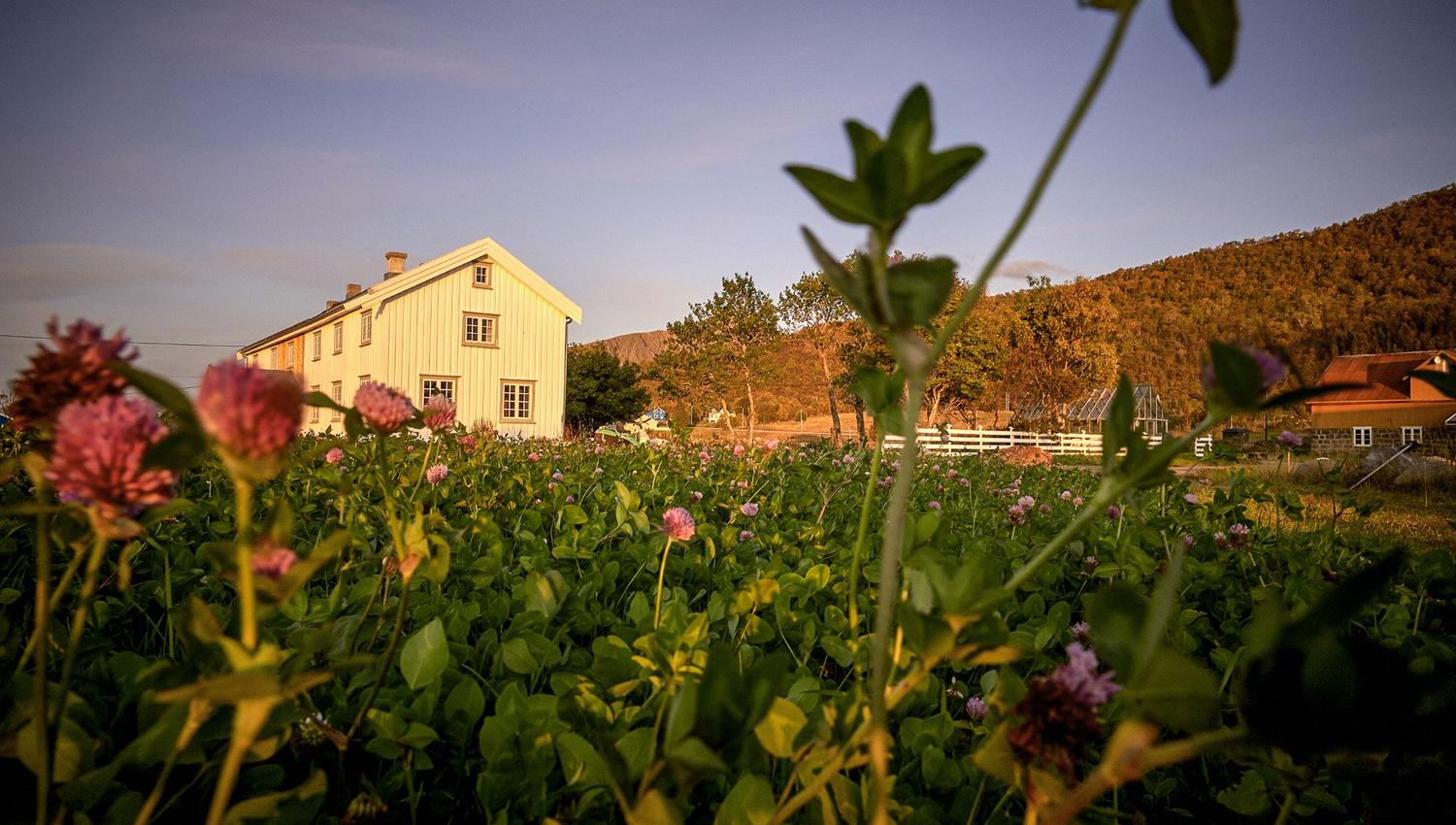 Kvitnes Gård