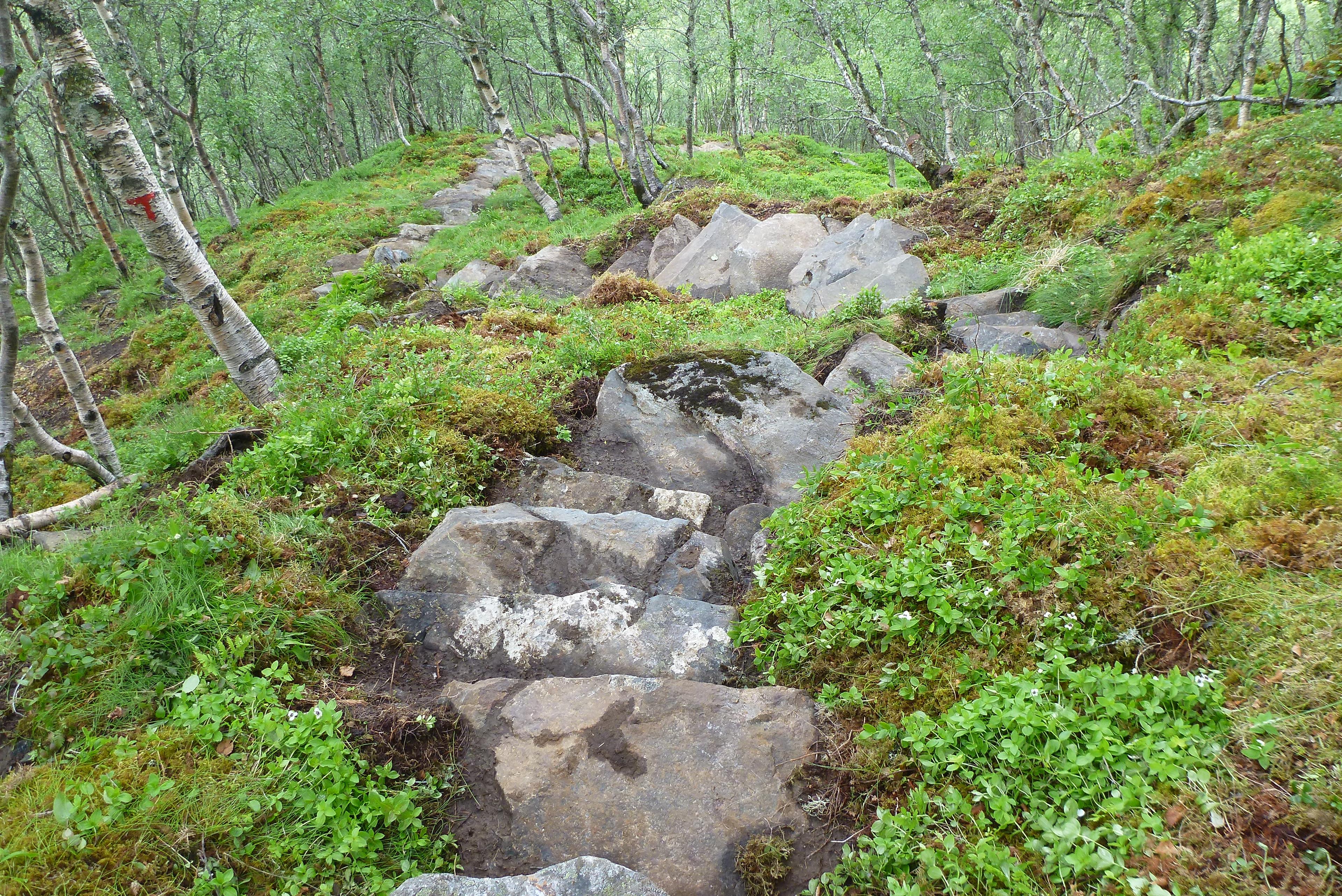 Wanderung nach Malmangernuten ab Rosendal