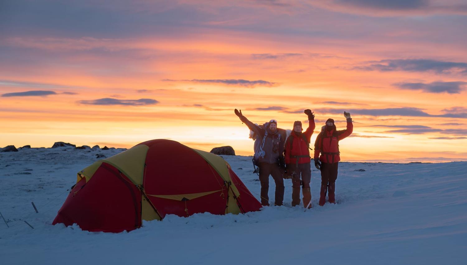 Moskussafari m/personlig guide, 2 dager