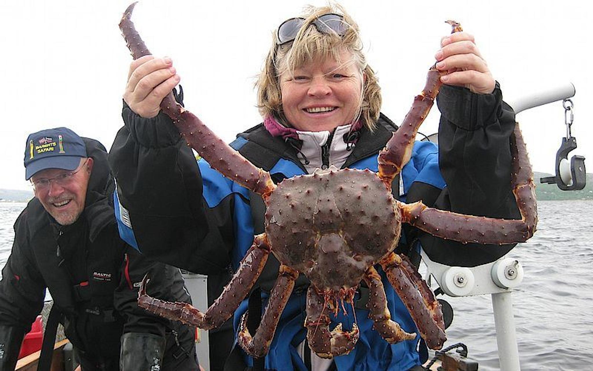 Nordlystur -  og Kongekrabbesafari med snøskuter - Barents Safari