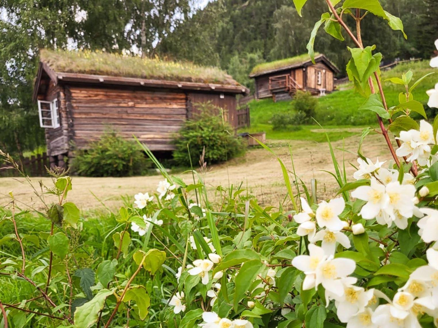 Andberg farm