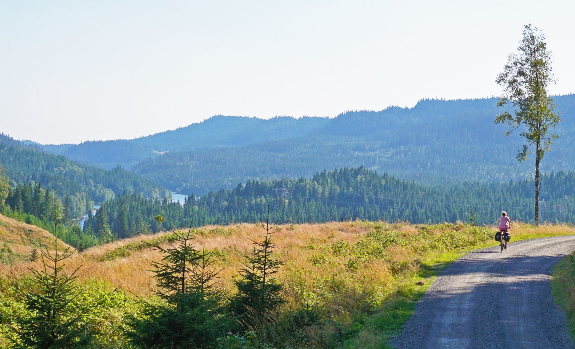 En person som sykler langs en vei, med skog og fjell i bakgrunnen.