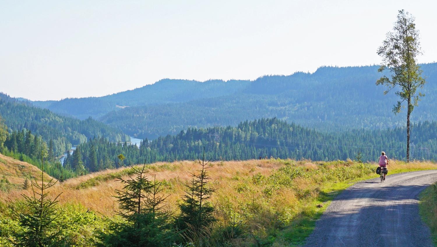 En person som sykler langs en vei, med skog og fjell i bakgrunnen.