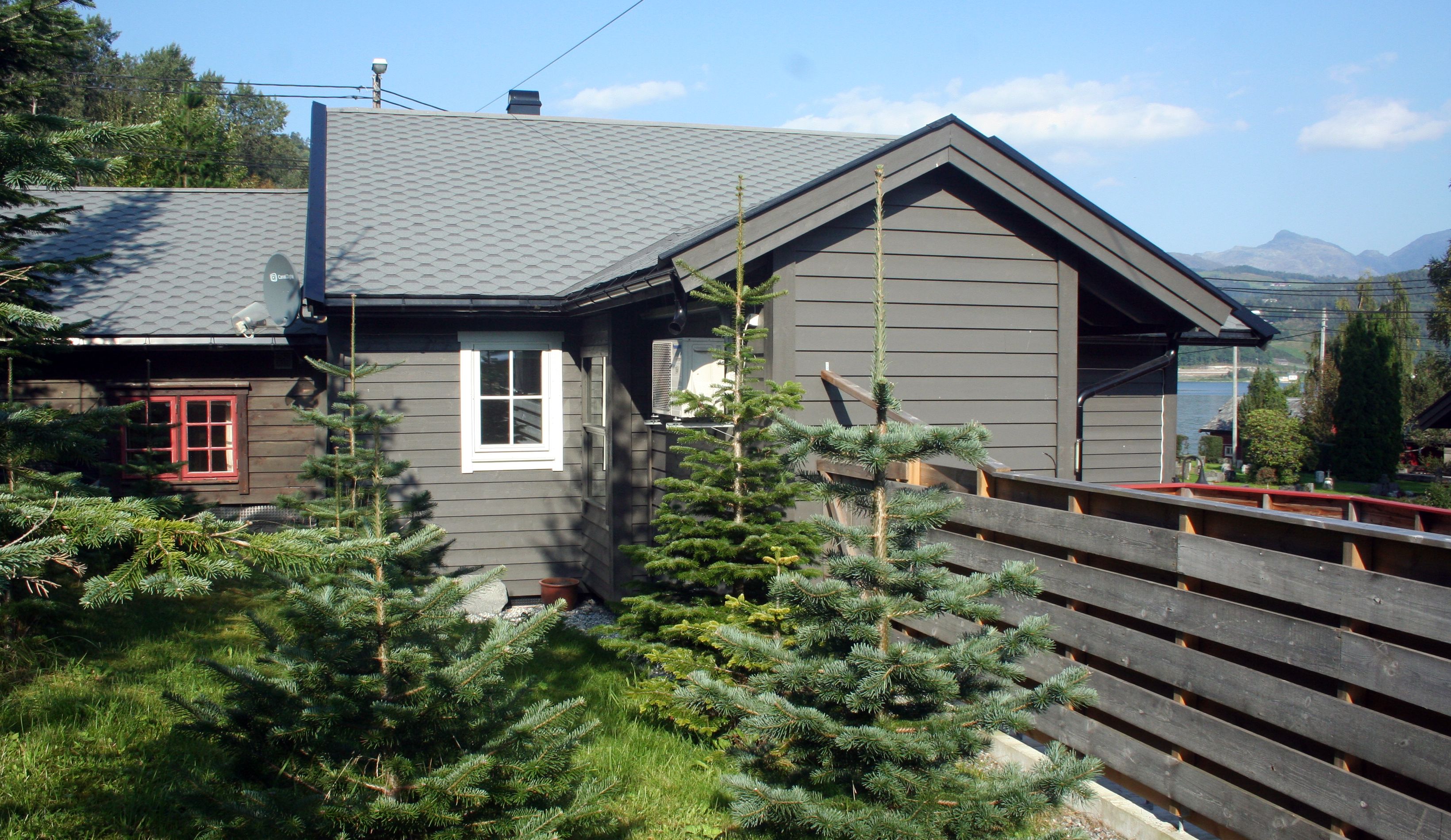 Koselig hytte omgitt av granplanter ved Vågen Rom og Hytteutleige i Hardanger.