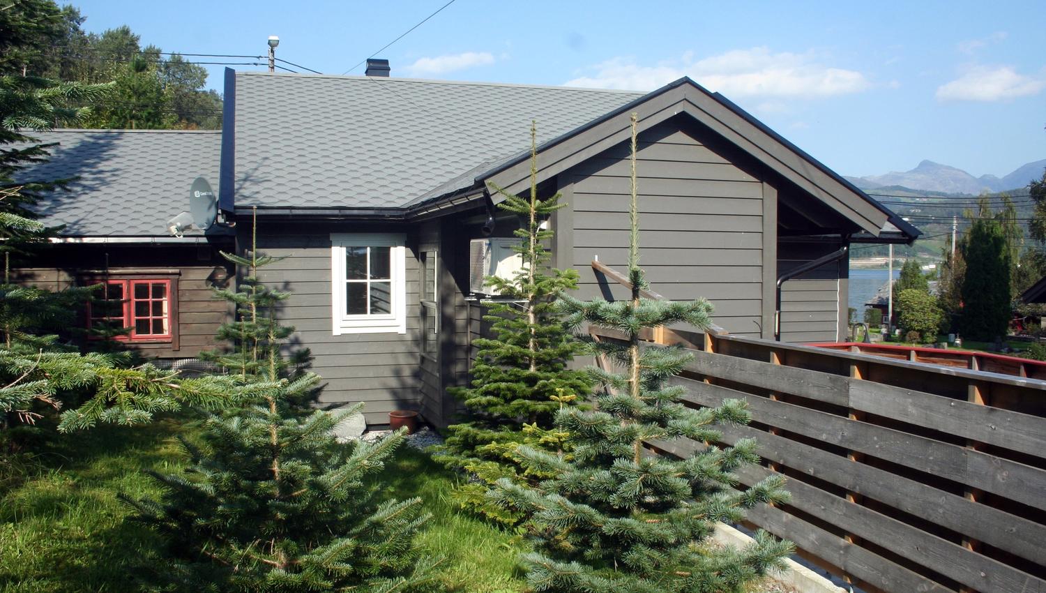 Koselig hytte omgitt av granplanter ved Vågen Rom og Hytteutleige i Hardanger.