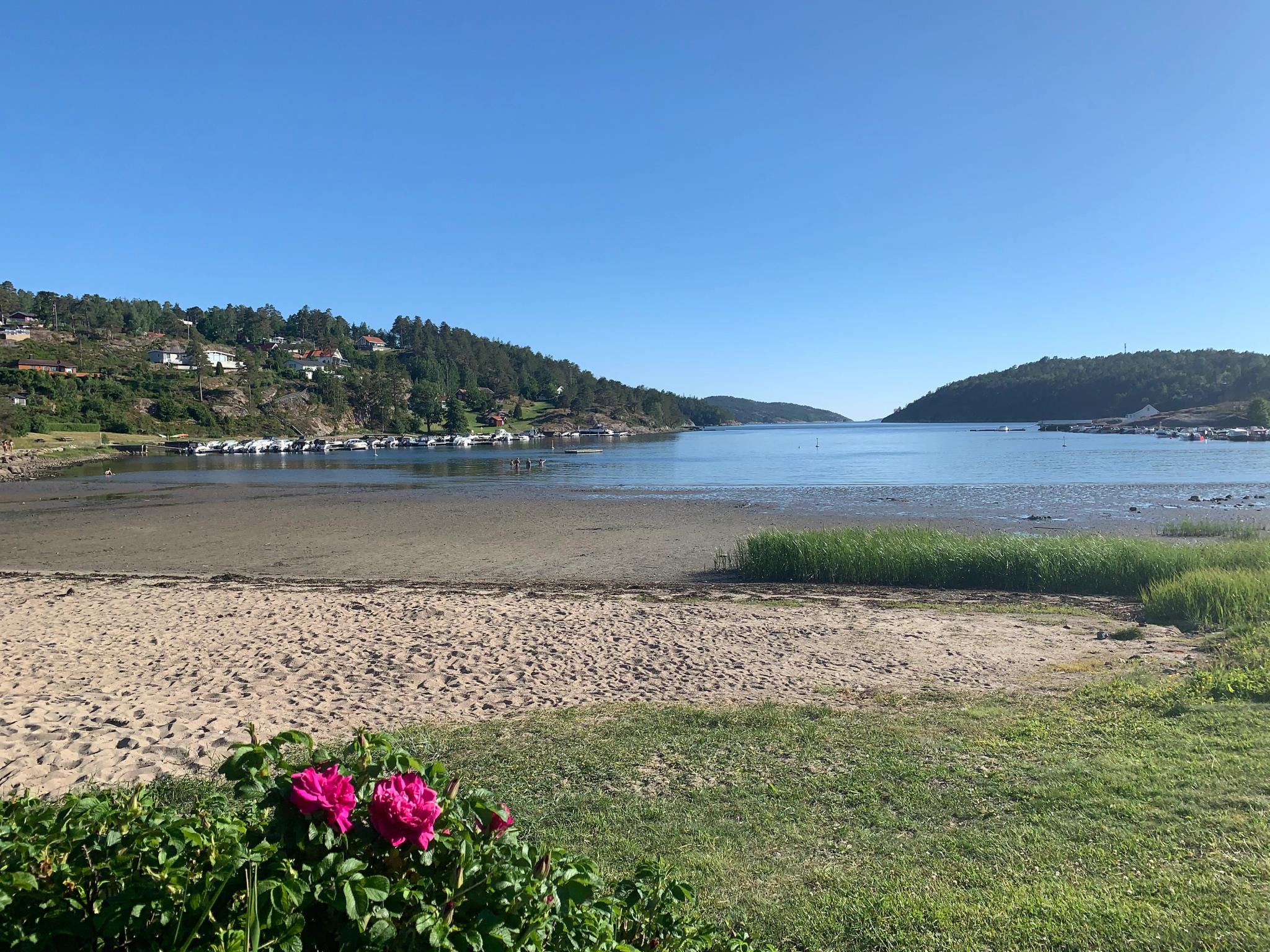 IMG_5985 - Svalerødkilen - badestrand