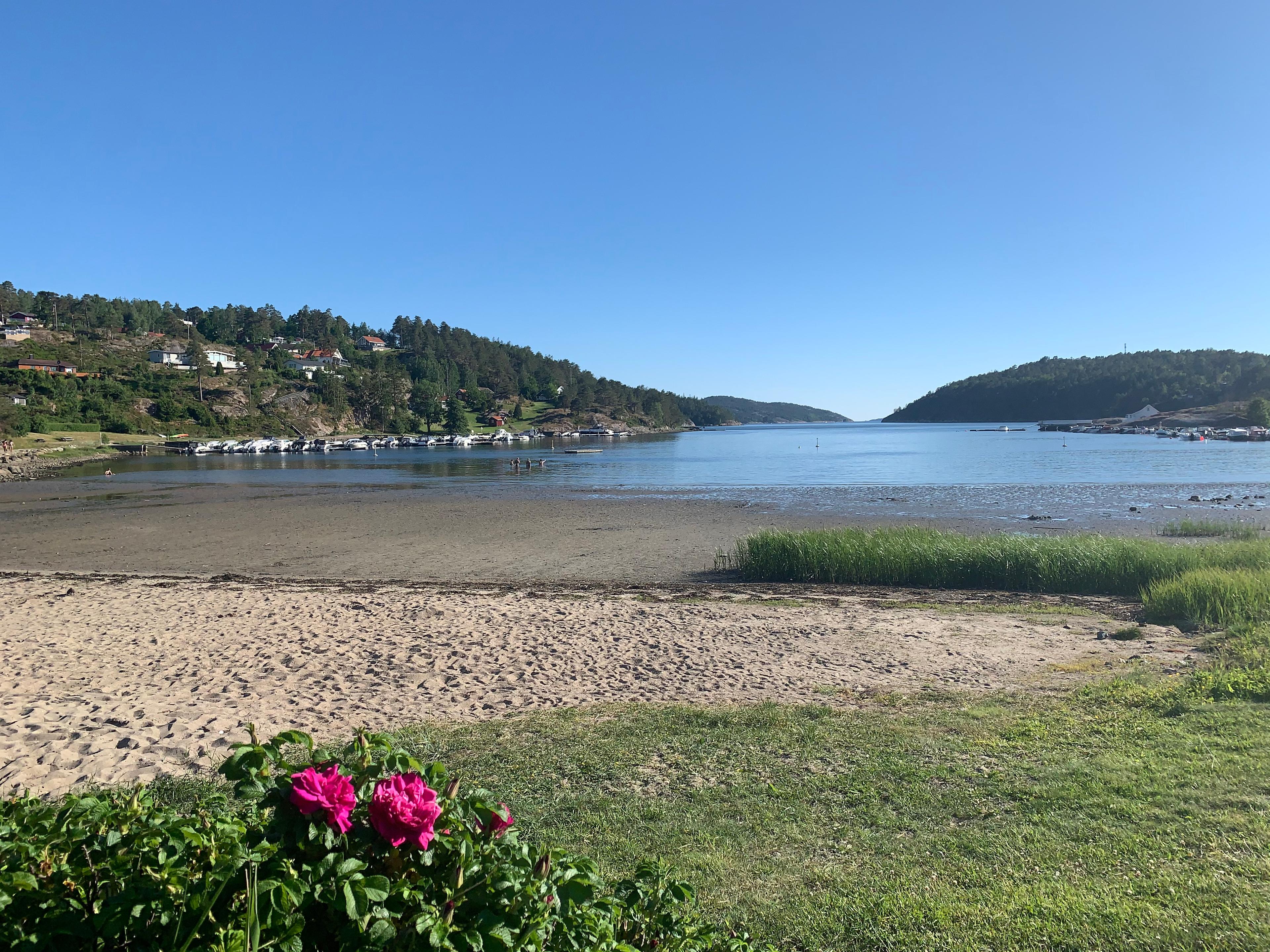 IMG_5985 - Svalerødkilen - badestrand