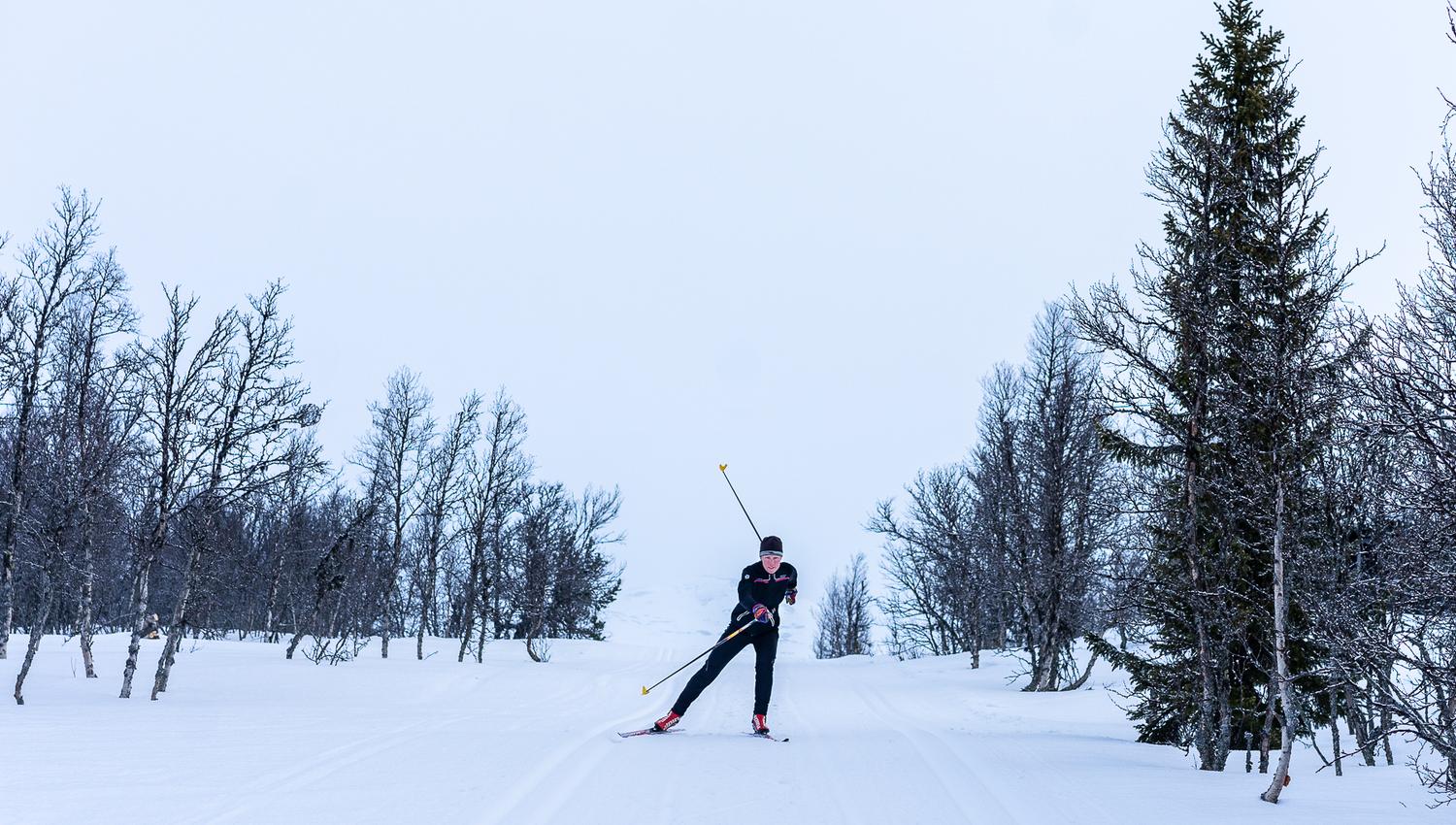 Skier skate skis towards the camera