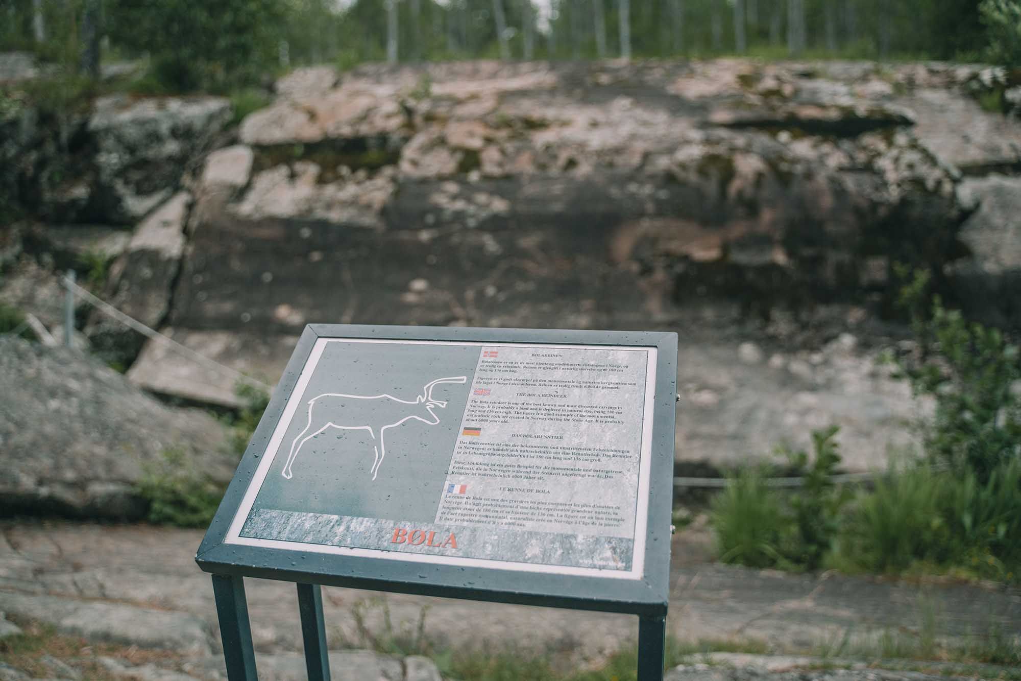 Infotavle om Bølareinen