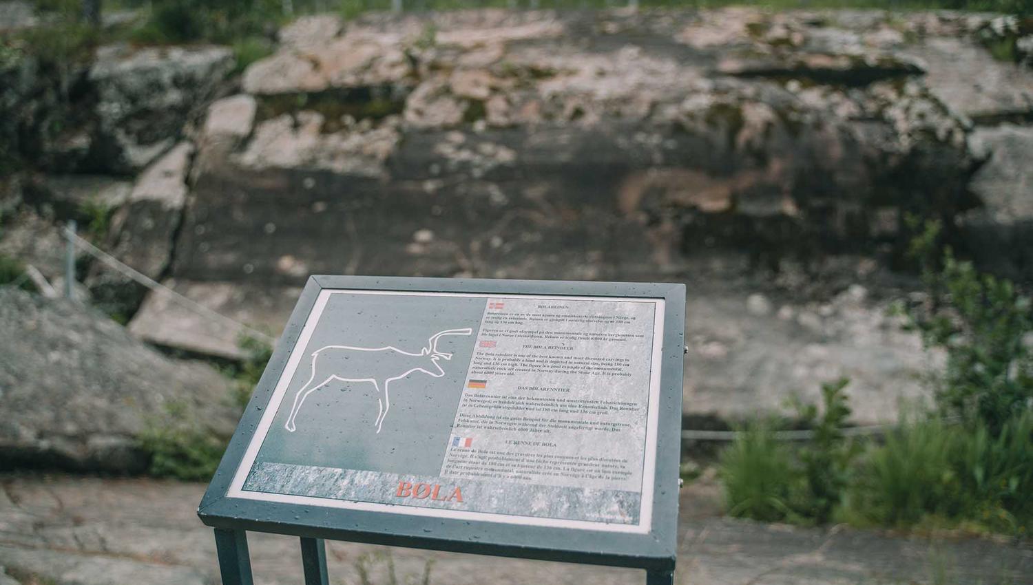Infotavle om Bølareinen