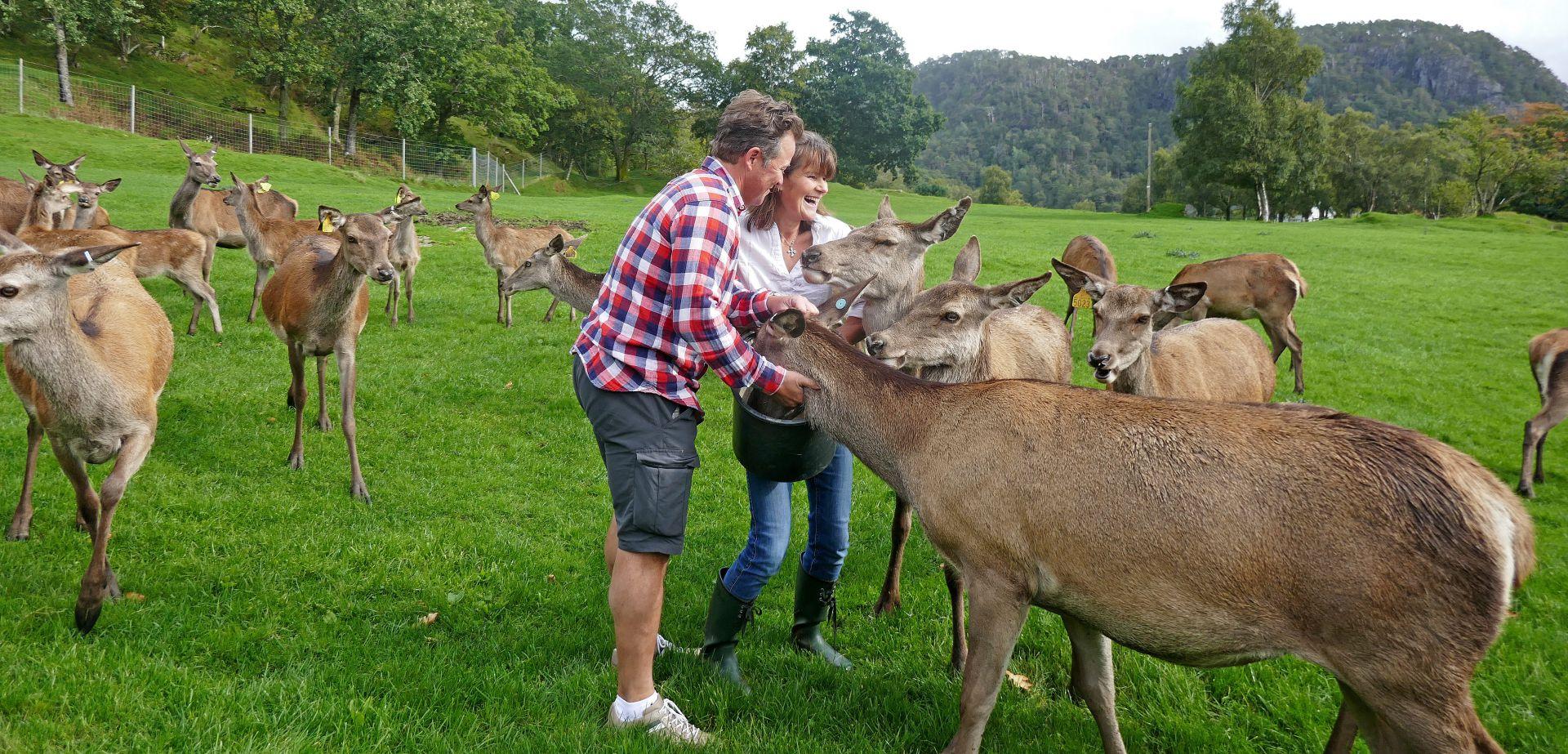 Norwegian Deer Centre