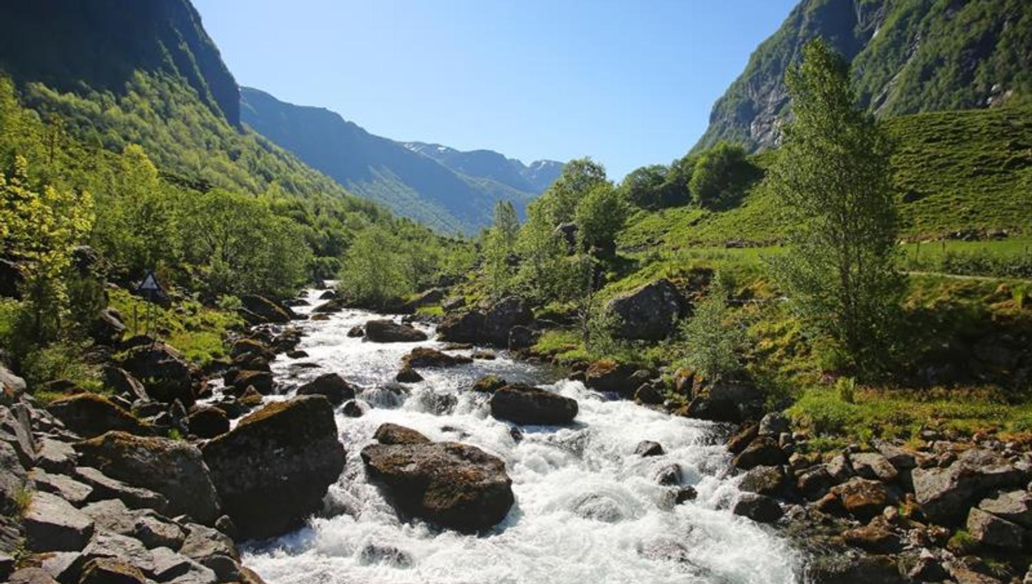 River in the Folgefonna National Park