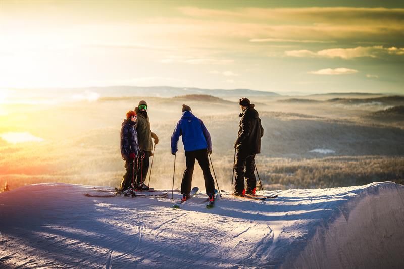Fire personer på alpinski. Foto