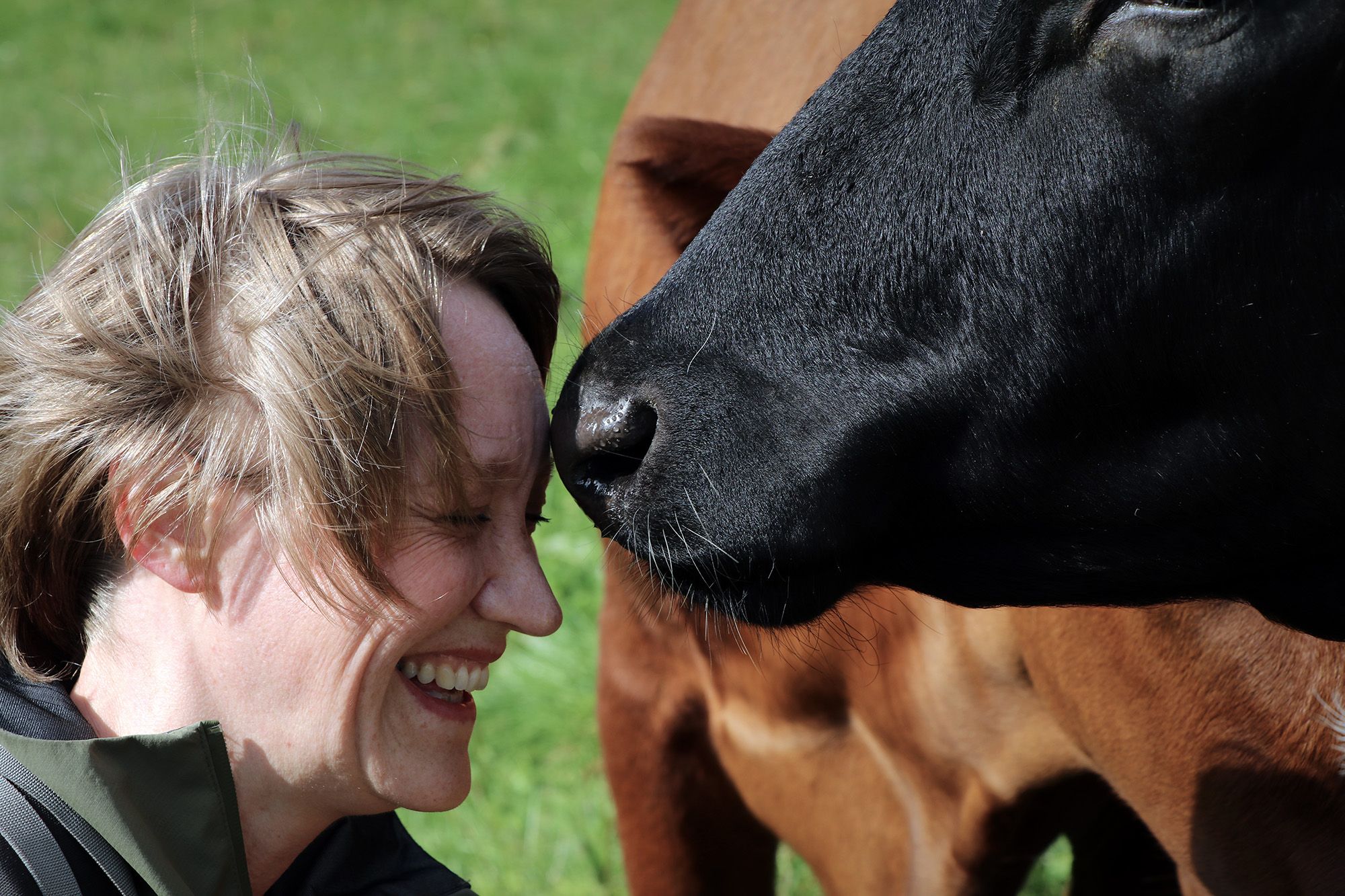 RPS Foto Ruben Heijloo pilegrim møte med kyr