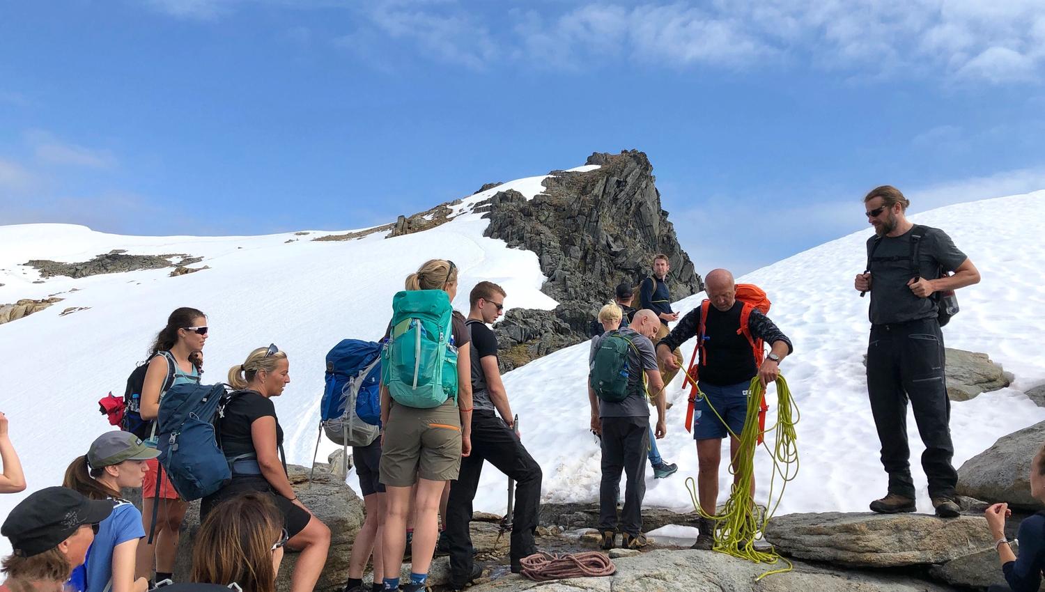 Møysaltur