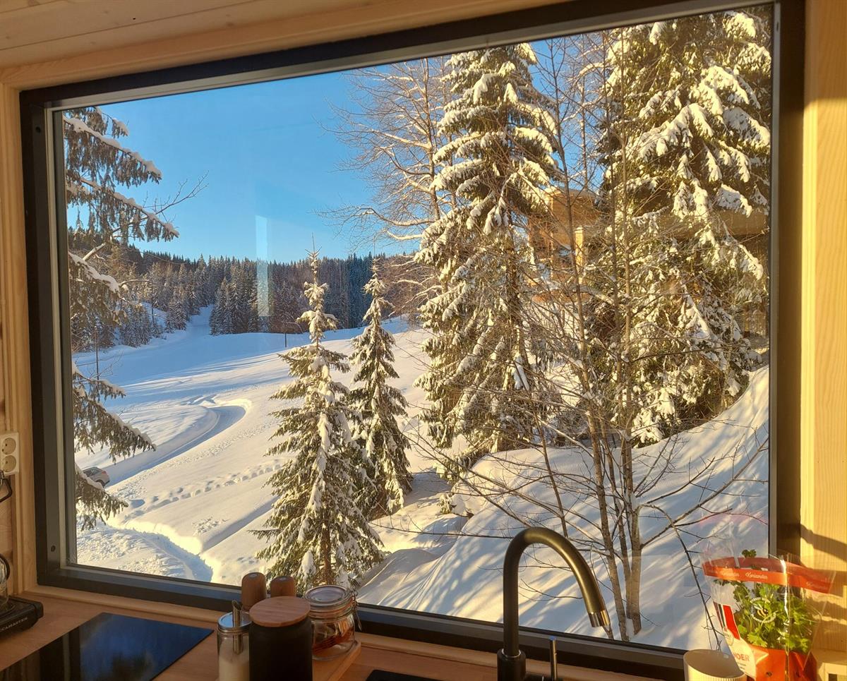 View from inside a cabin through a large window toward snow‑covered trees and a winter landscape.