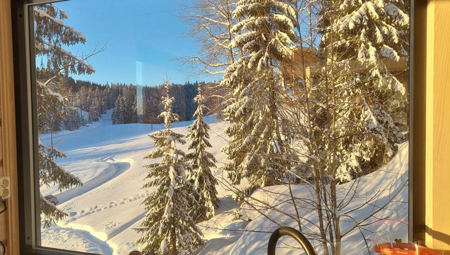 View from inside a cabin through a large window toward snow‑covered trees and a winter landscape.